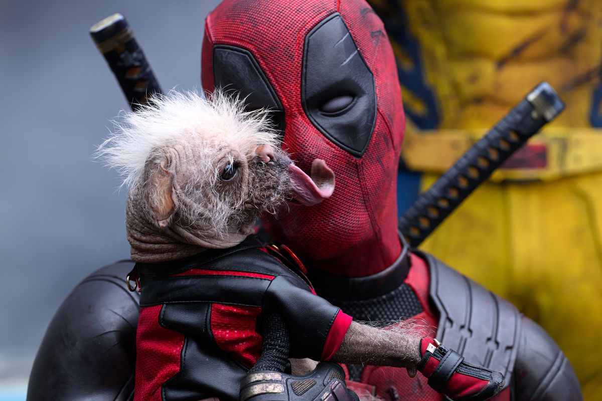 Deadpool cuddling Dogpool in Deadpool &amp; Wolverine