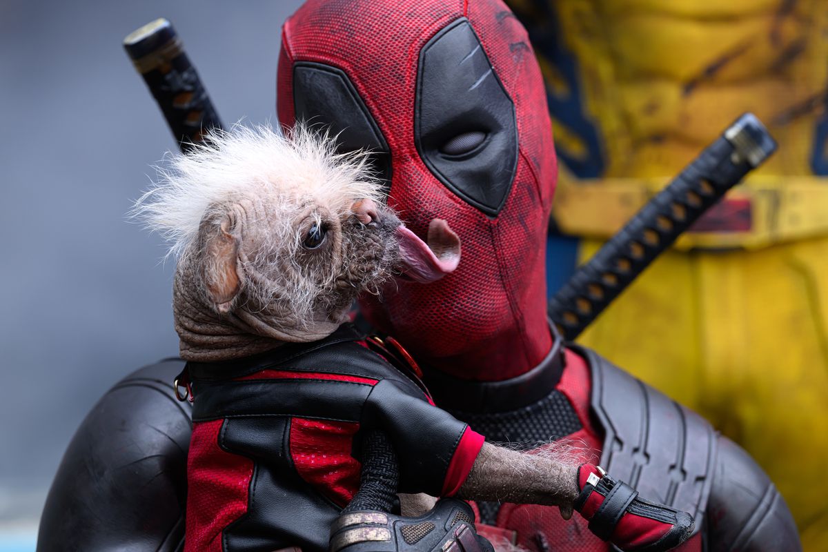 Dogpool licks Deadpool’s face (or at least the outside of his mask) in Deadpool &amp; Wolverine.