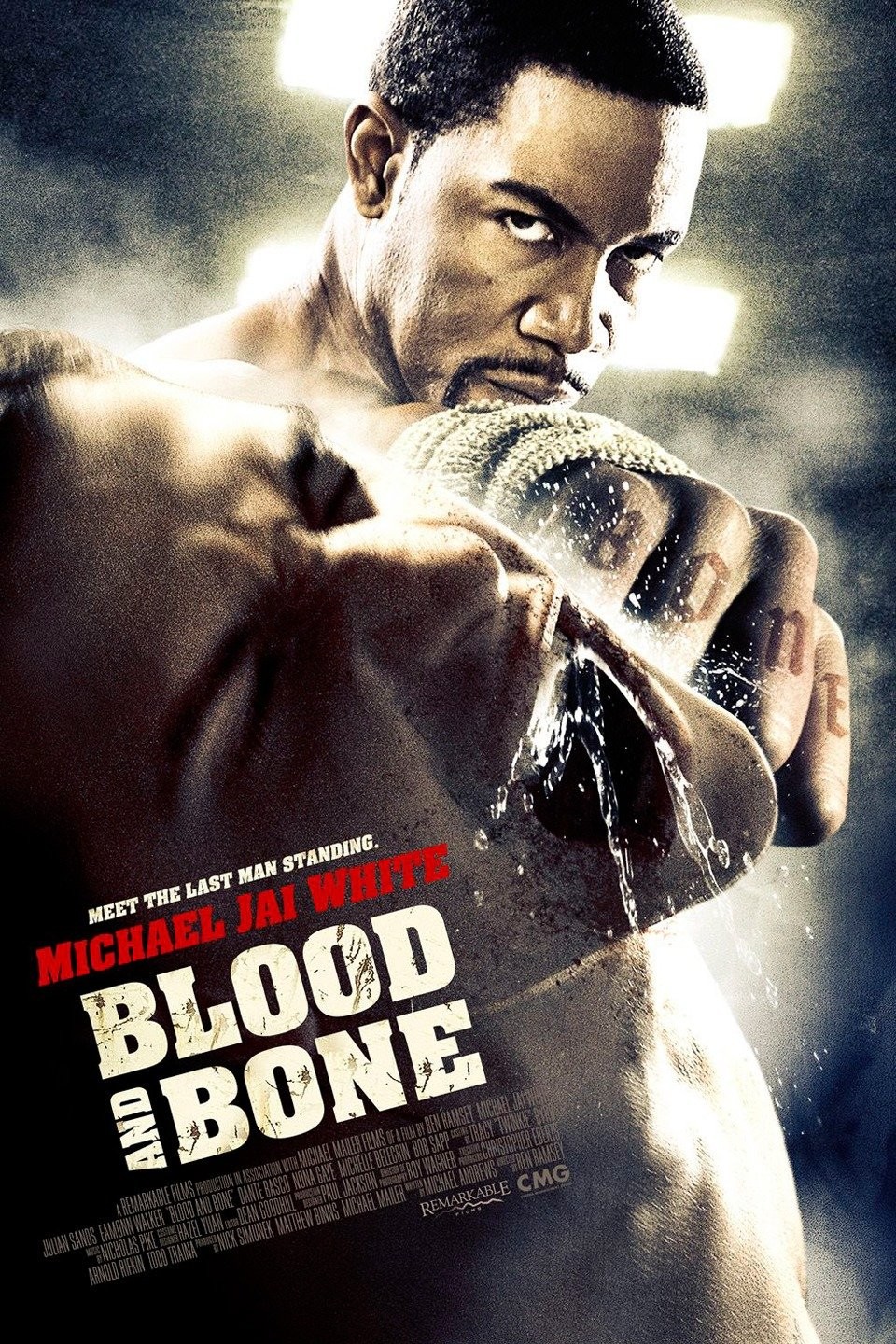 The poster for Blood and Bone, showing Michael Jai White punching a dude on the chin as his knuckles spell out “Bone”