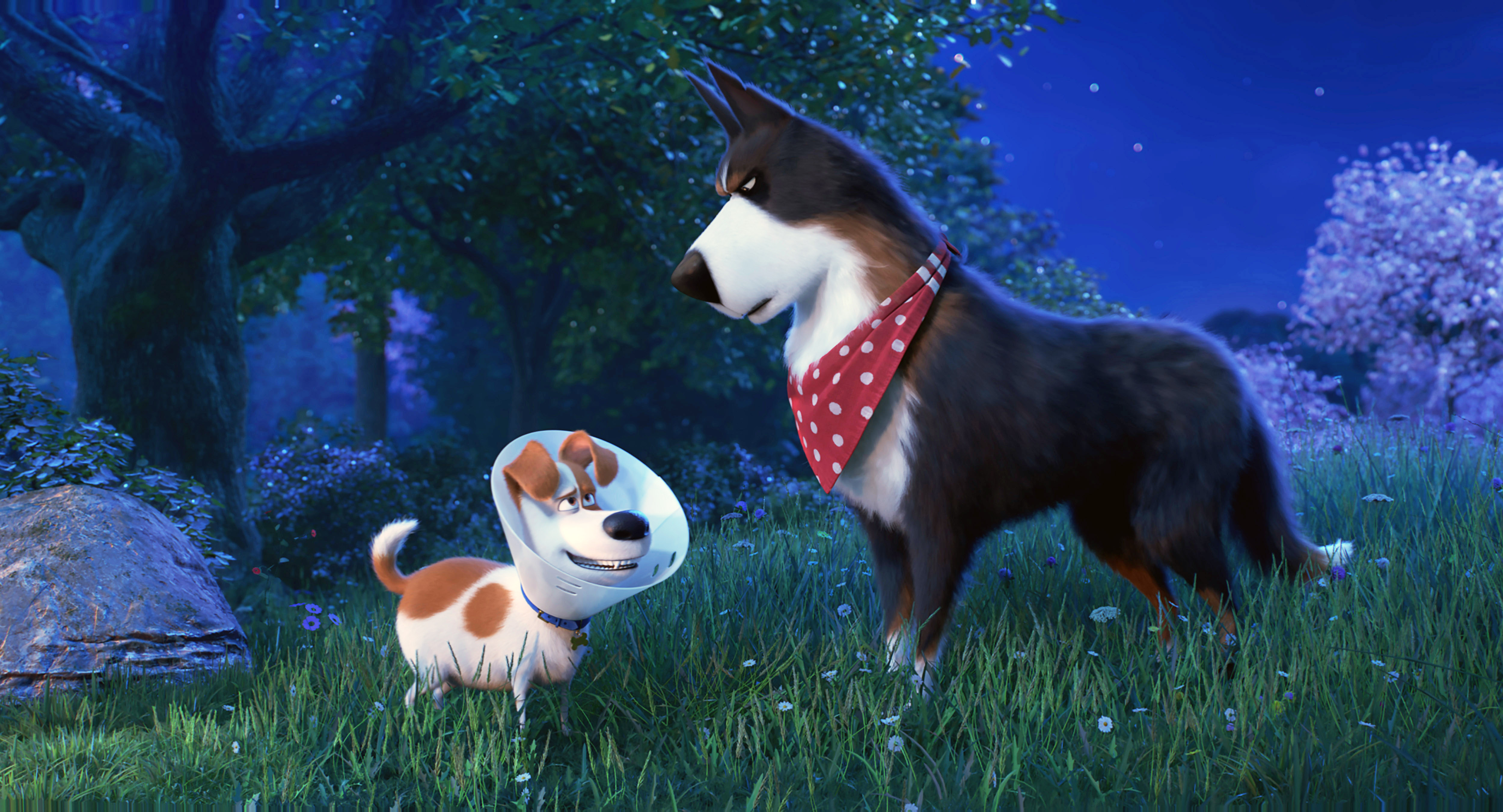 Two dogs, one big and one small, looking at each other in Secret Life of Pets 2