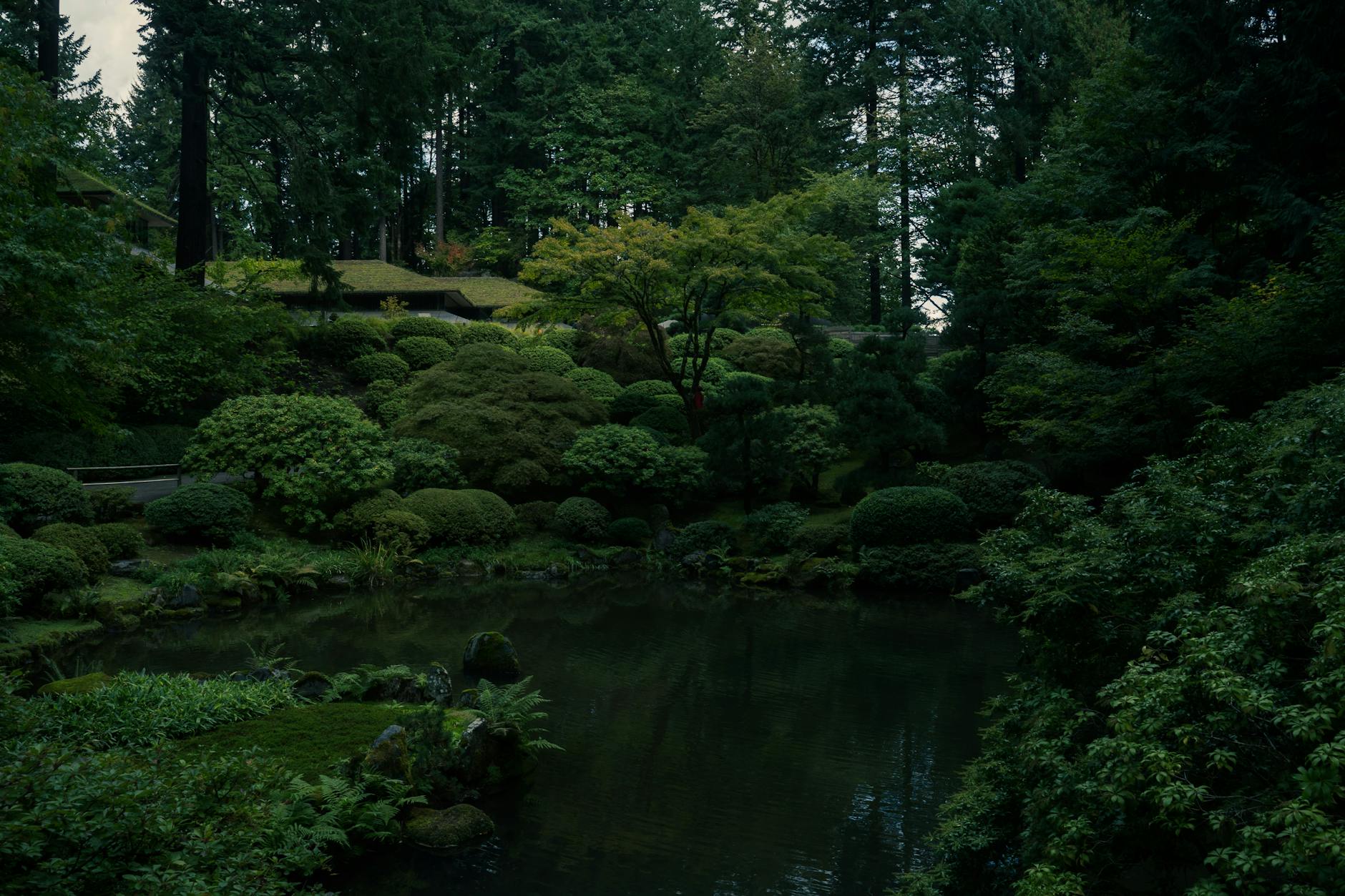 Tranquil garden area with seating and green landscaping for relaxation