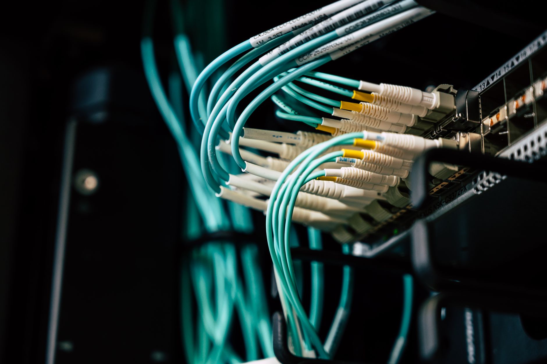 Close-up of multiple ethernet cables plugged into a network switch
