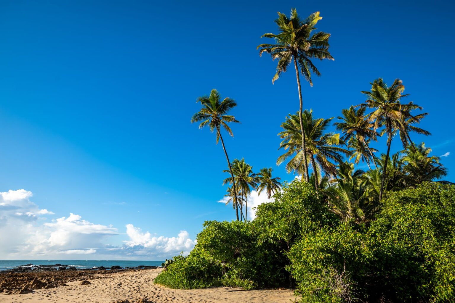 A peaceful tropical island scene representing the Animal Crossing aesthetic of relaxed island life