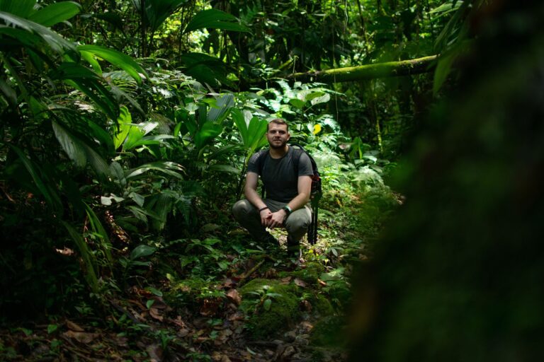 A dense jungle environment representing layered exploration design in video games