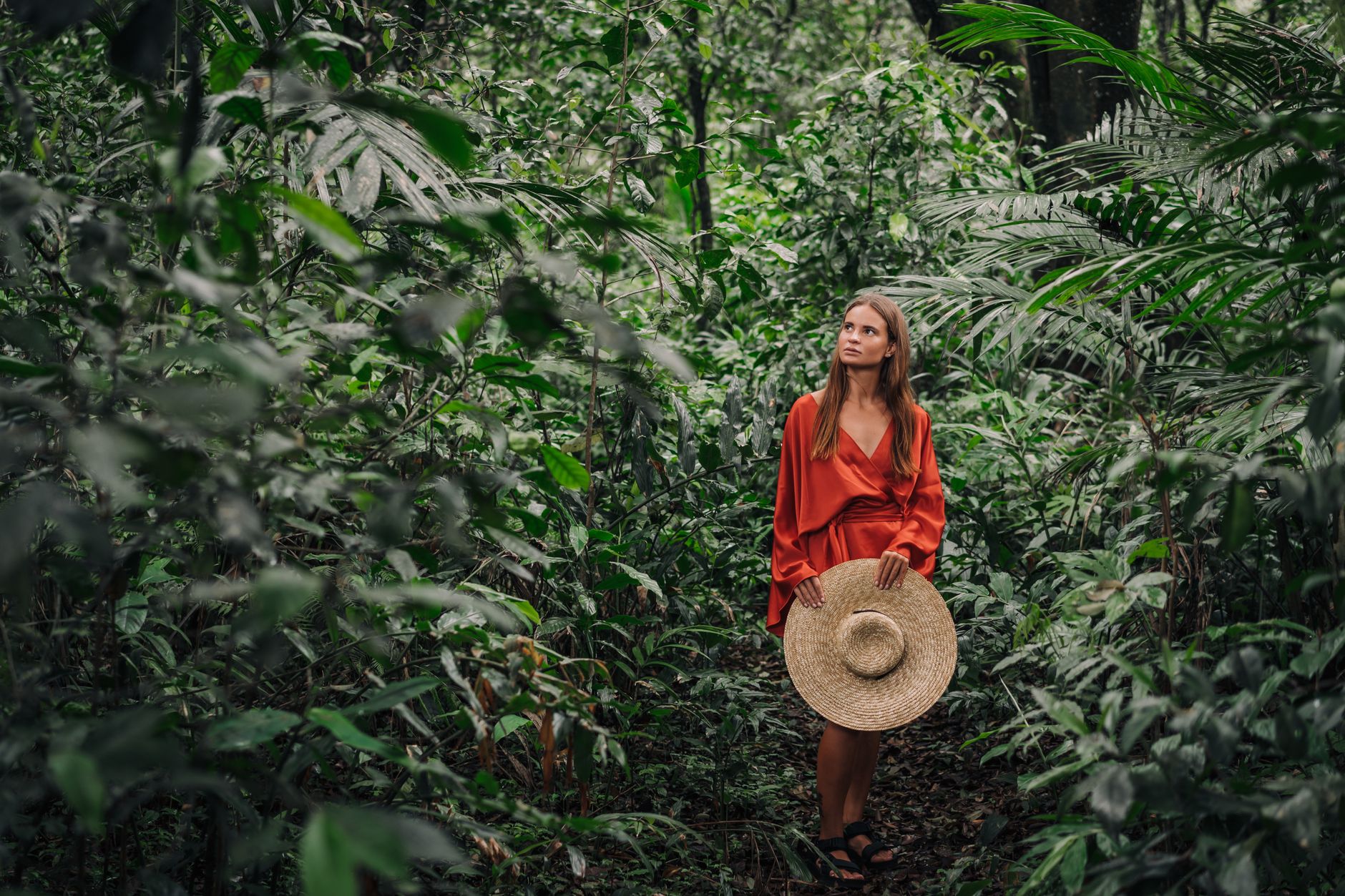 Dense jungle environment evoking the tropical aesthetic of Donkey Kong games