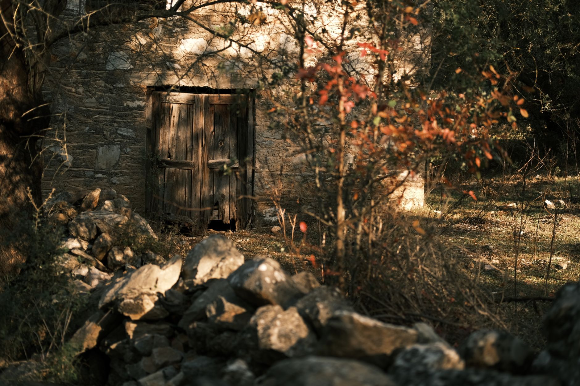 A mysterious hidden doorway in a stone wall, symbolizing secret rooms and hidden game content