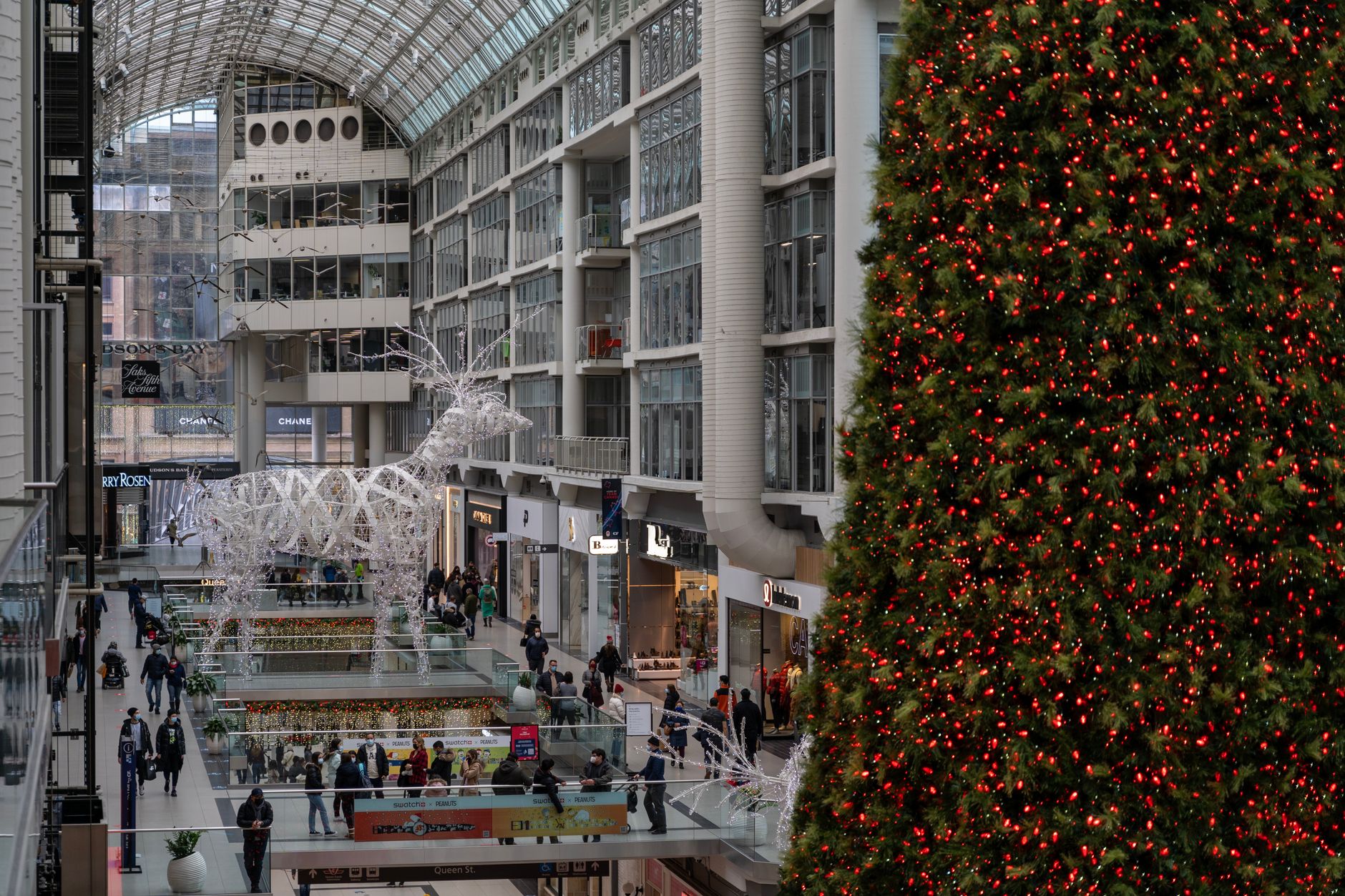 Busy retail environment during a holiday shopping season