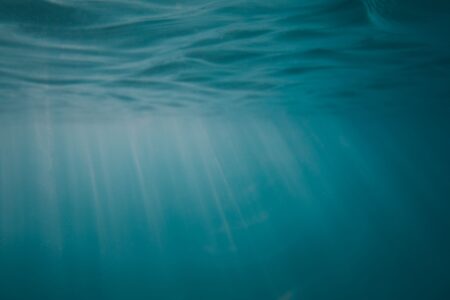 Donkey Kong Bananza’s Absent Clambo Encounters Are Quietly Stinging DKC2 Fans Underwater ocean environment with dim light filtering through water, evoking the atmosphere of classic DKC2 underwater stages
