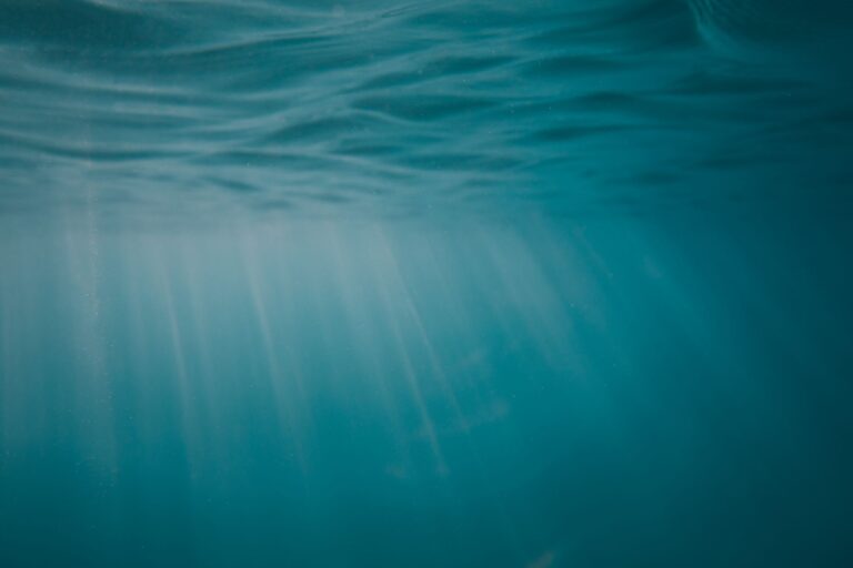 Donkey Kong Bananza’s Absent Clambo Encounters Are Quietly Stinging DKC2 Fans Underwater ocean environment with dim light filtering through water, evoking the atmosphere of classic DKC2 underwater stages
