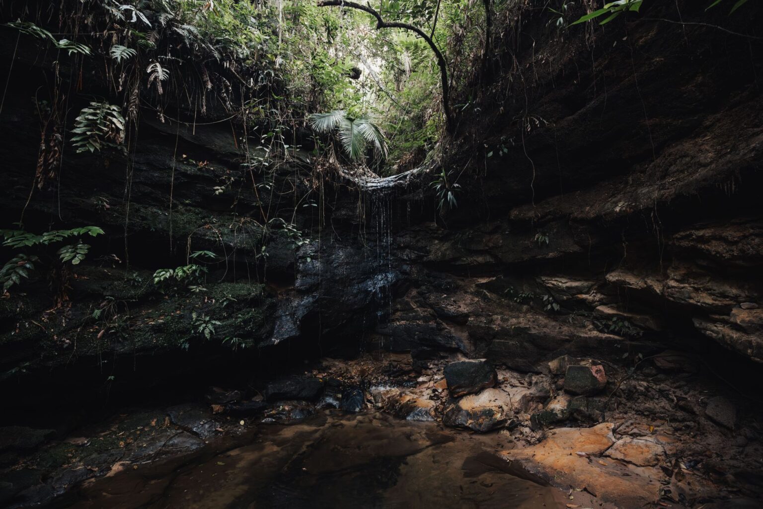 Donkey Kong Bananza’s Absent Secret Exits Are Quietly Frustrating Exploration Fans Dark cave entrance surrounded by dense jungle vegetation, evoking hidden path discovery