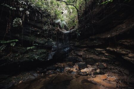 Donkey Kong Bananza’s Absent Secret Exits Are Quietly Frustrating Exploration Fans Dark cave entrance surrounded by dense jungle vegetation, evoking hidden path discovery