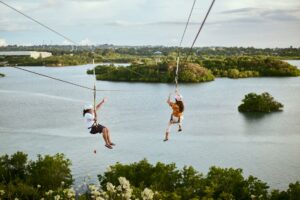 A zipline cable stretched through a dense jungle canopy, representing fast traversal mechanics in platformer games