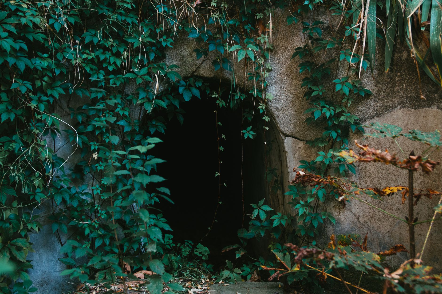 A dark cave entrance lit softly from within, evoking the cozy sanctuary feel of Wrinkly Kong's save caves in DKC2