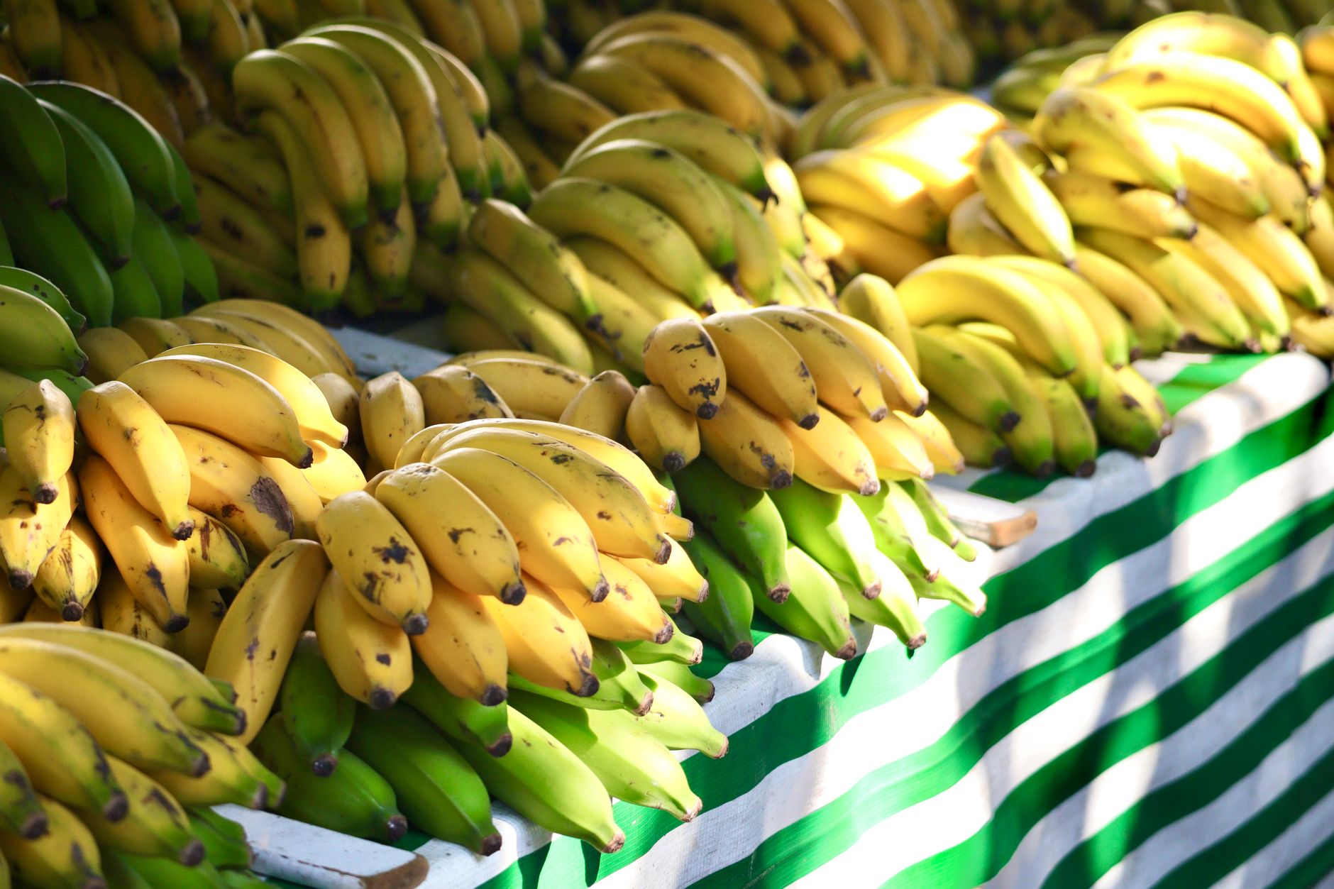 A bunch of yellow bananas representing the iconic collectible from Donkey Kong 64