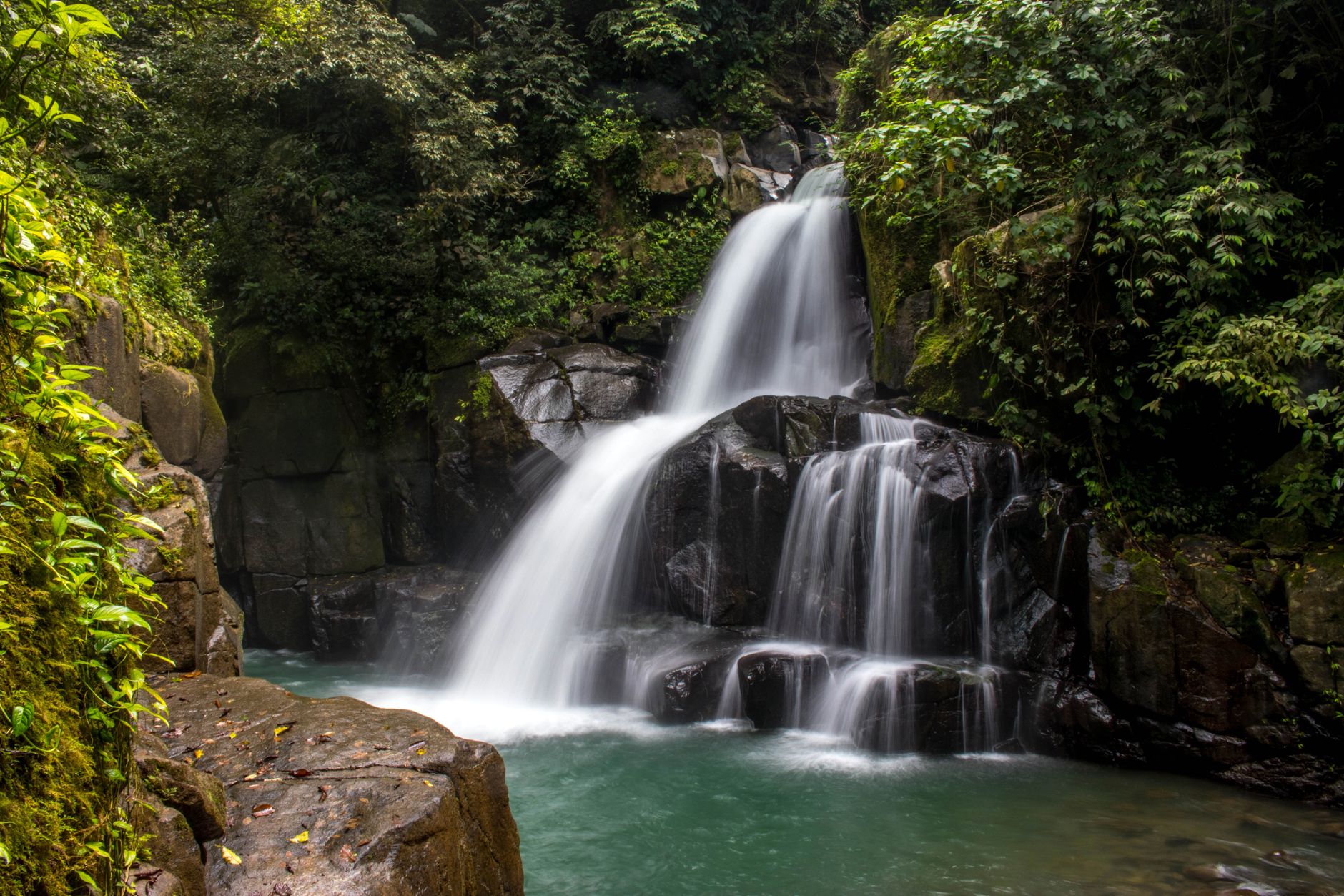 A wide jungle waterfall cascading into a calm pool surrounded by dense tropical vegetation