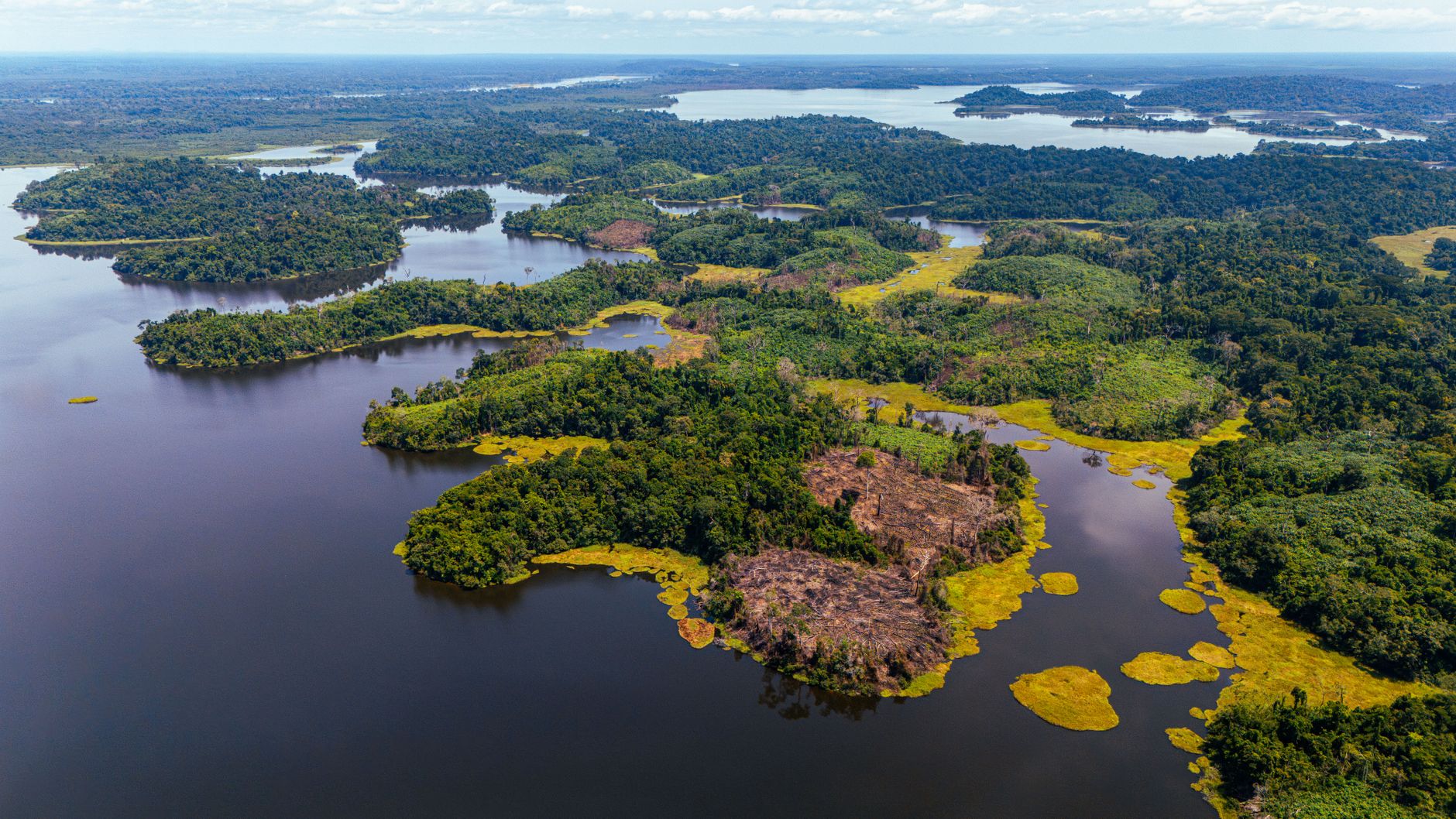 Aerial view of a winding jungle river, reminiscent of the lush and dangerous island environments in Donkey Kong Country 2