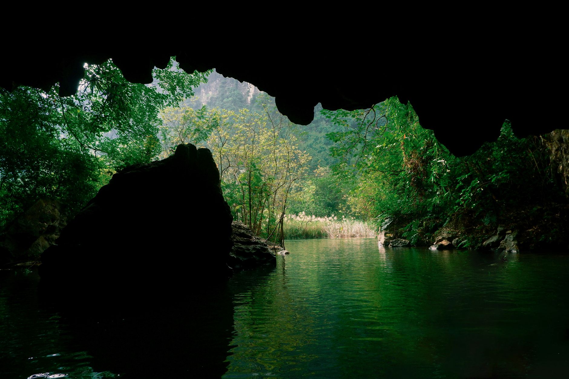 A dark cave entrance surrounded by jungle vegetation, similar to underground biomes in Donkey Kong games